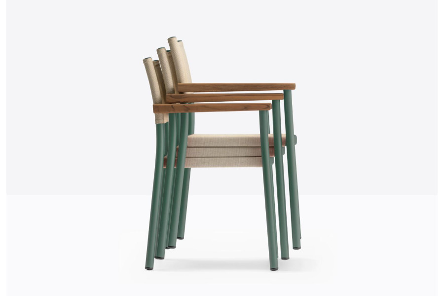 Chair GUINEA 3695