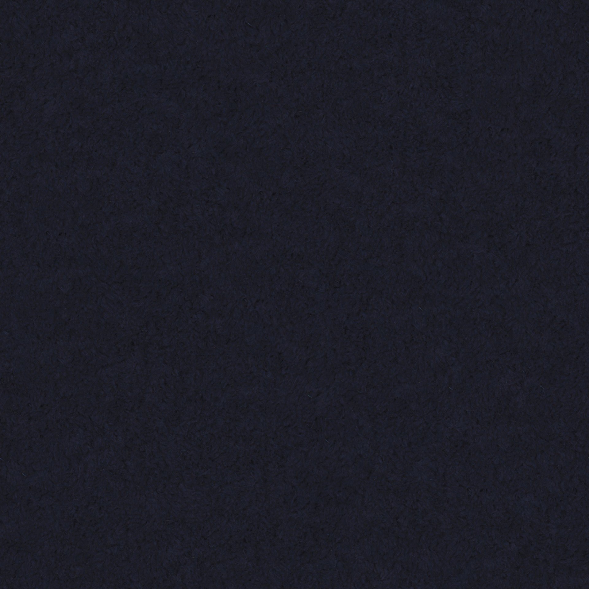 Monte 79
